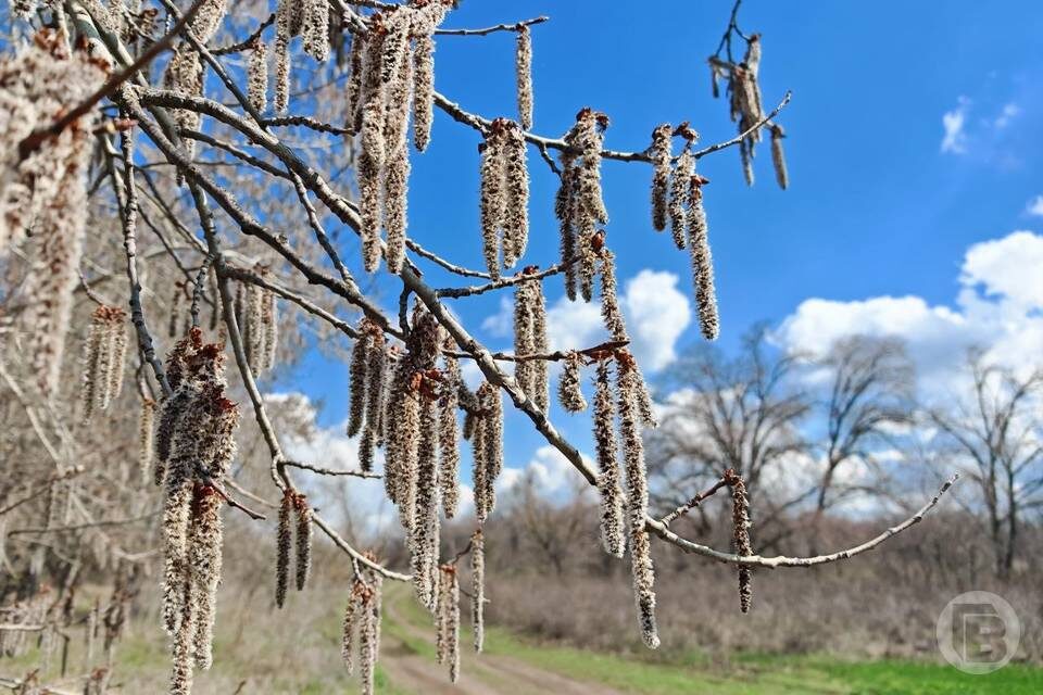    Фото: "Городские вести"