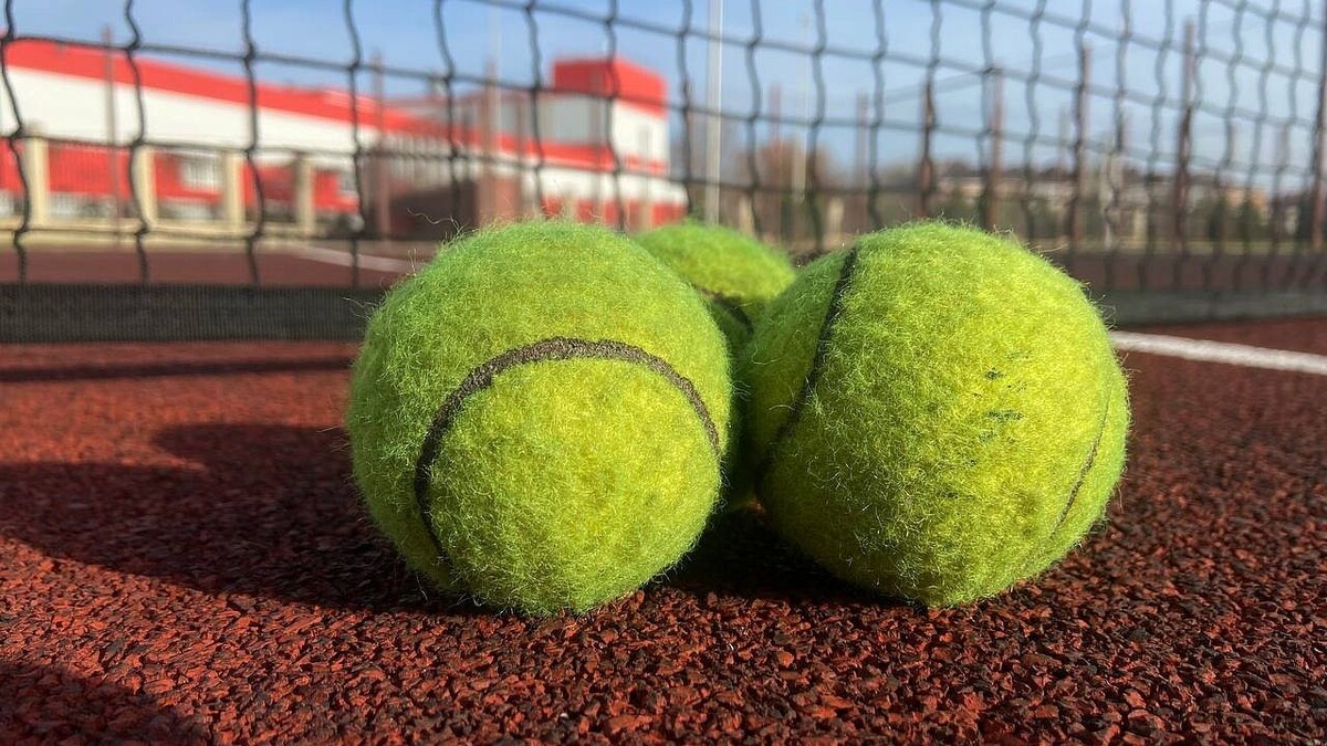    Фото: телеканал «Краснодар»