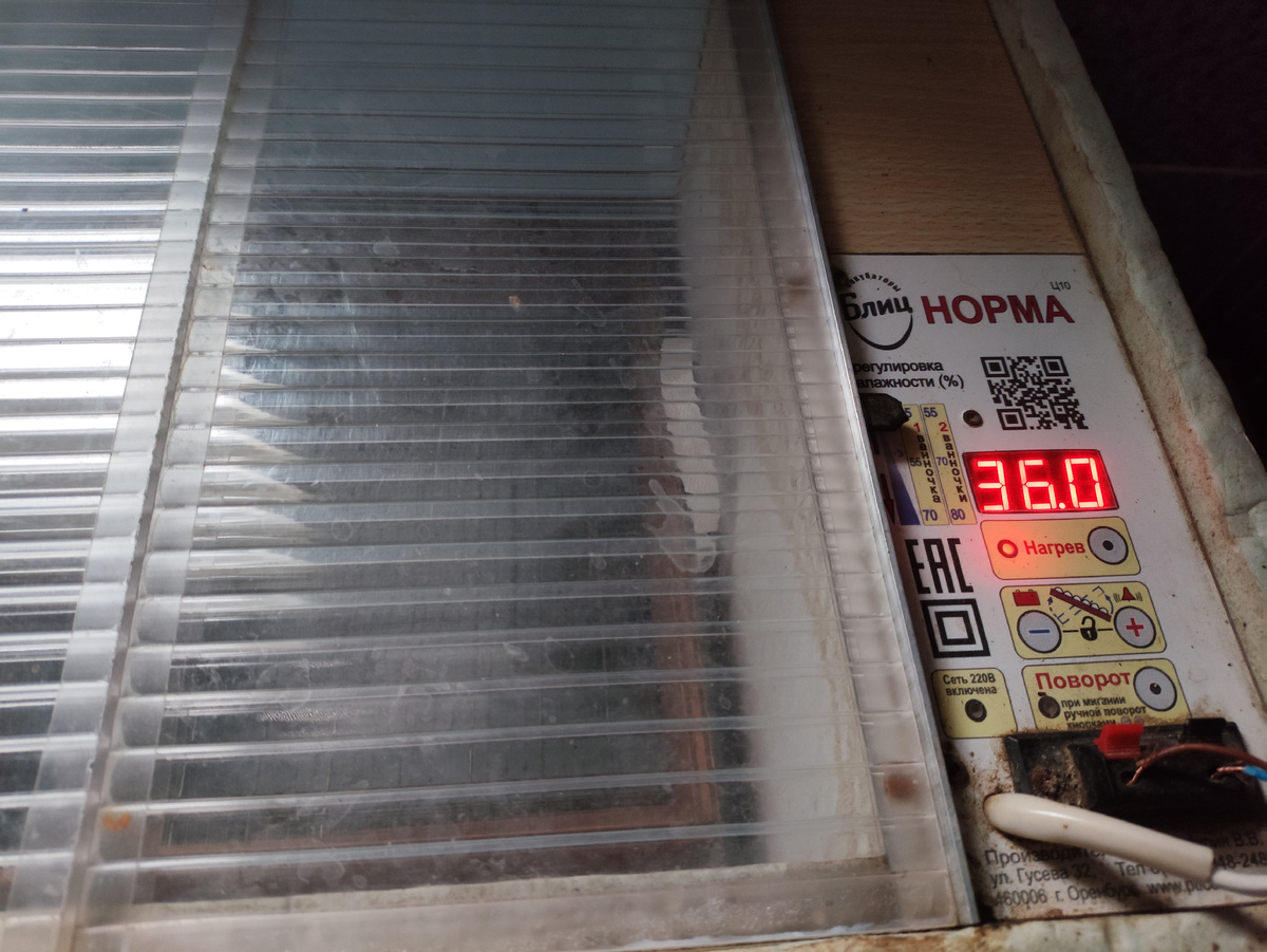 Ну хоть так, а то уже 32 градуса было...