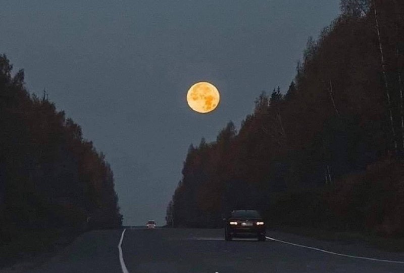 как прокачать блуждающий нерв