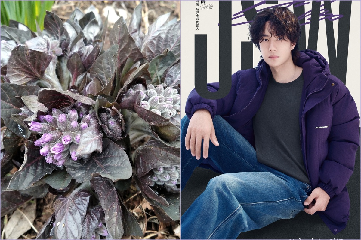 и сразу загадка, что это за цветок попал мне в объектив? Определитель пишет явно не то