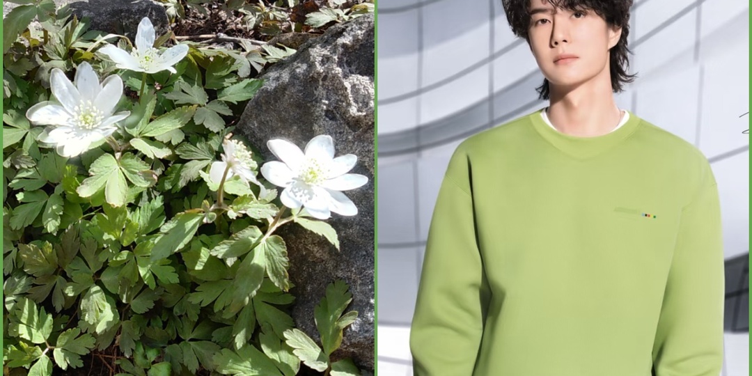 Китайский актер Ван Ибо и первоцветы