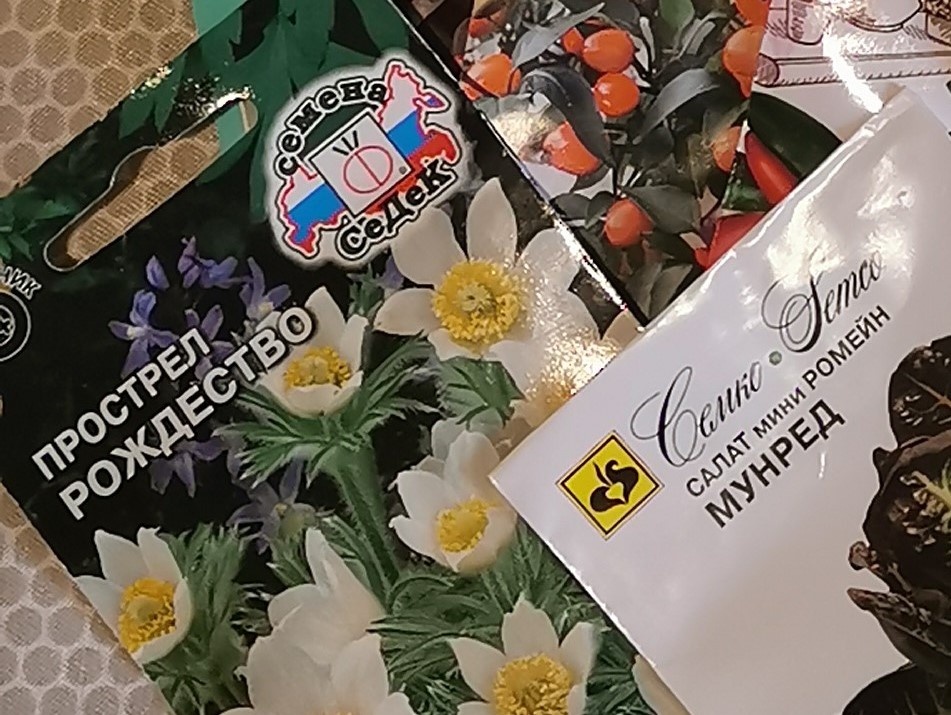 Эти прострелы у меня не взошли