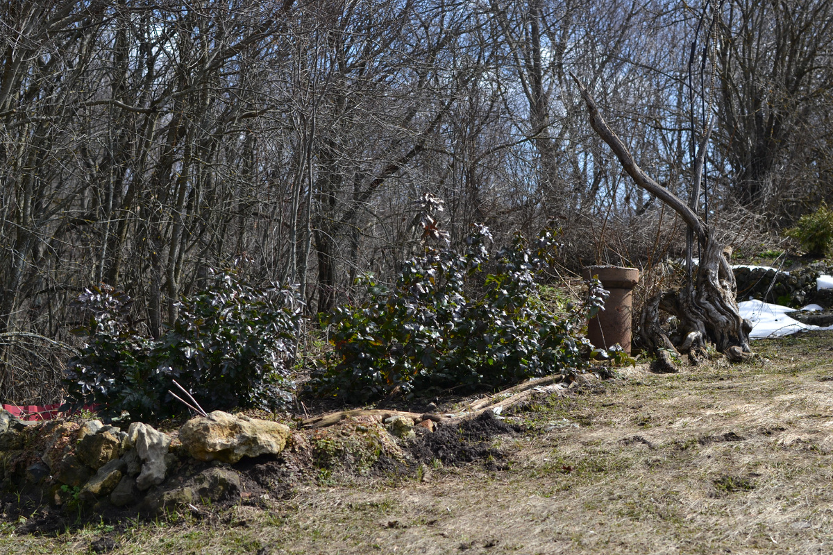 Все растаяло!