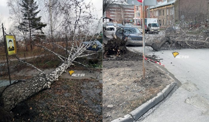 Последствия шторма 7 ноября 2024 года. Фото АСТ-54.