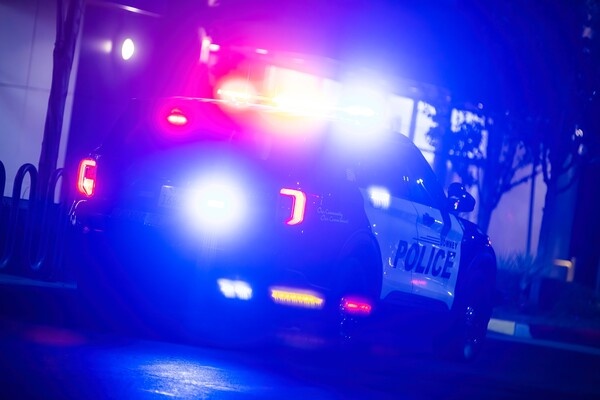 Karolis Kavolelis/Shutterstock/FOTODOM   📷