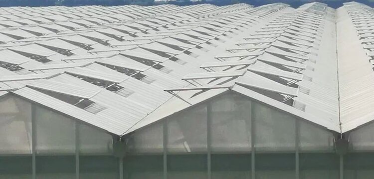    Фото: Лукьянов Дмитрий, AgroXXI.ru