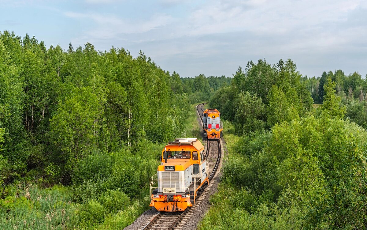 ТЭМ241-001 и ТЭМ18-239. Россия, Коми, подъездной путь АО «Монди Сыктывкарский ЛПК» от станции Койты. Автор: Parom. Дата: 28 июня 2021 г.
