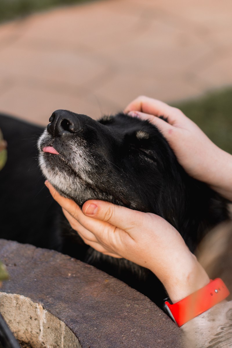 Ну и не надо, у нас свой блог есть!