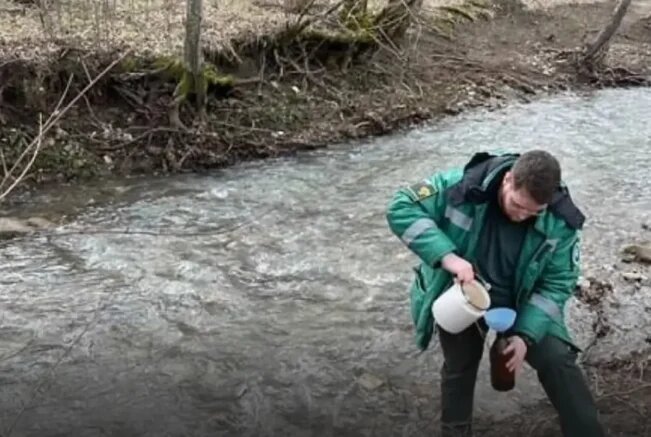    Фото: t.me/Rosprirodnadzor_official