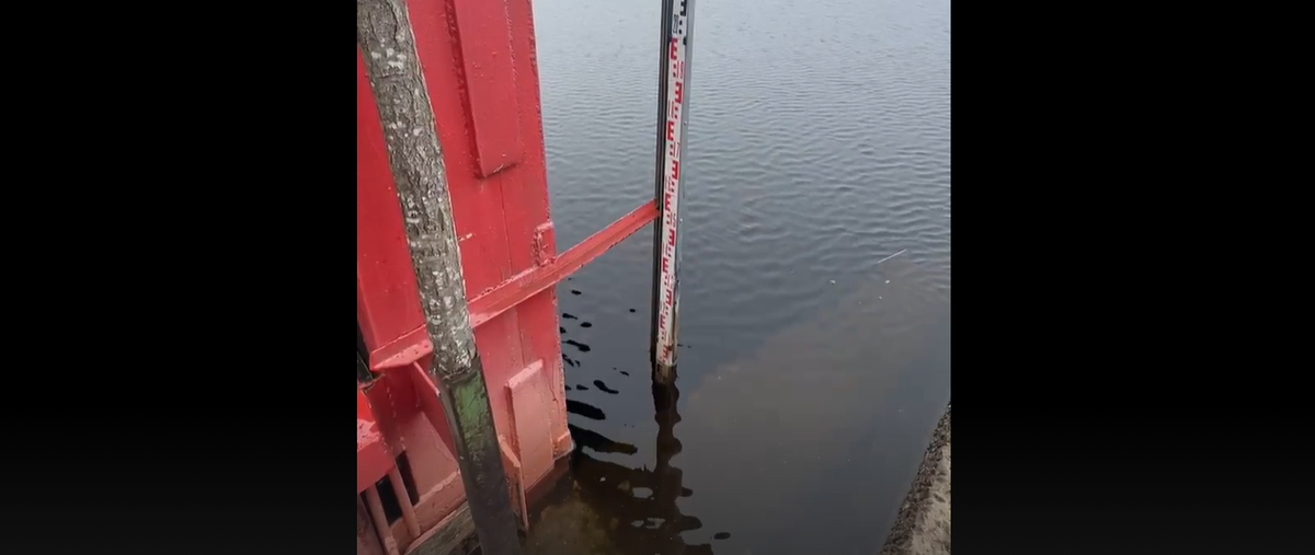    Янина Свидская / VK