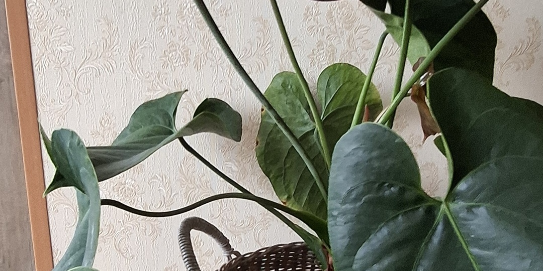 Погода испортилась.