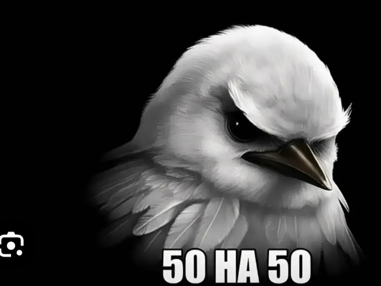 50 на 50 (180 ₽)