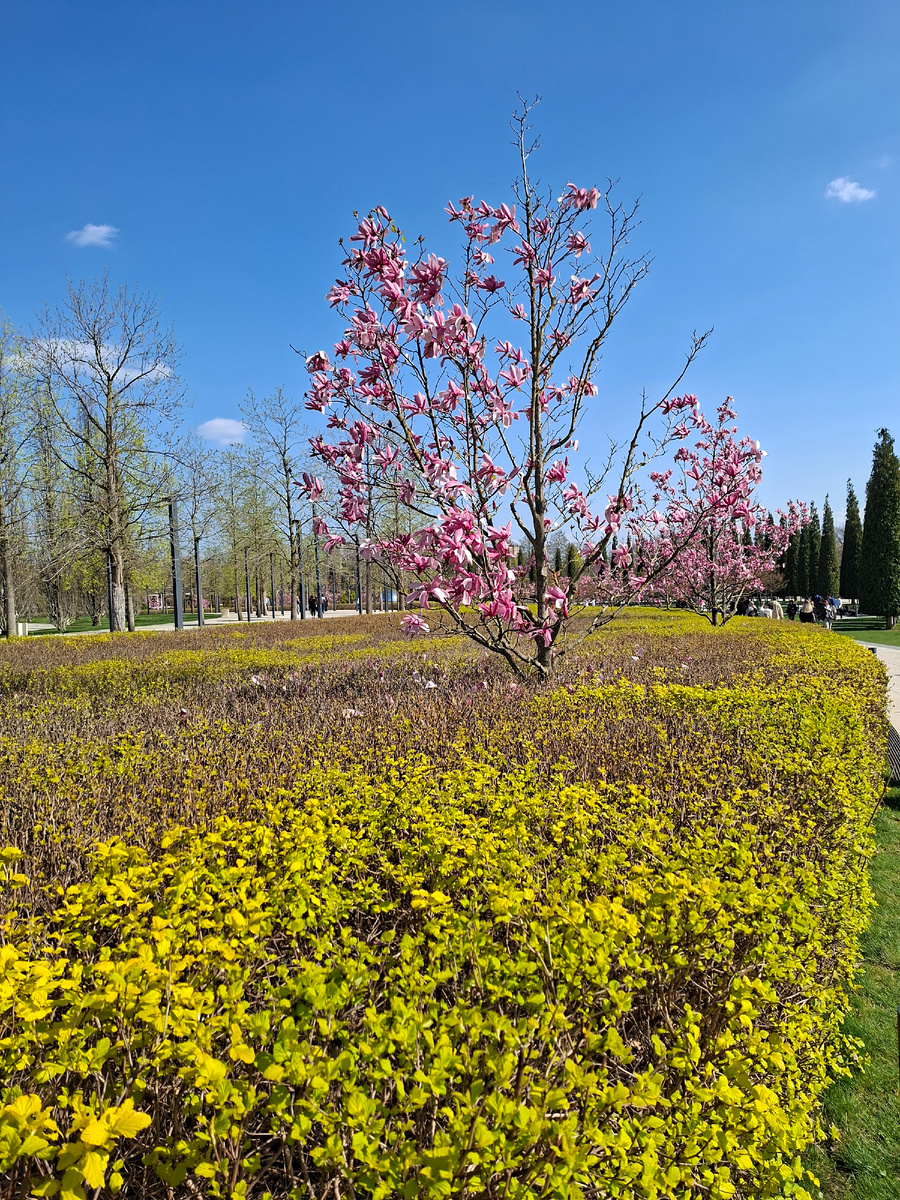 Парк Галицого весной