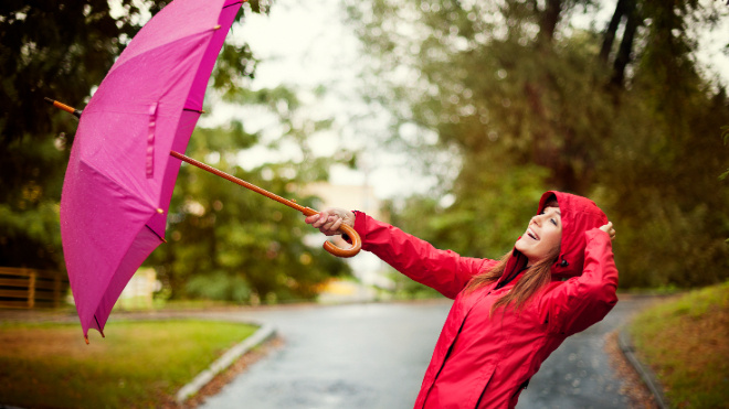 Фото: https://ru.freepik.com/free-photo/gone-with-wind_13188972.htm#fromView=search&page=1&position=1&uuid=71d788a3-0c55-4ca0-95f1-beac586d2c8d&query=%D0%B2%D0%B5%D1%82%D0%B5%D1%80+%D0%BF%D0%BE%D0%B3%D0%BE%D0%B4%D0%B0+%D0%B2%D0%B5%D1%81%D0%BD%D0%B0