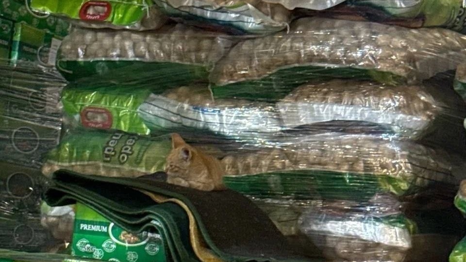 Репост из VK