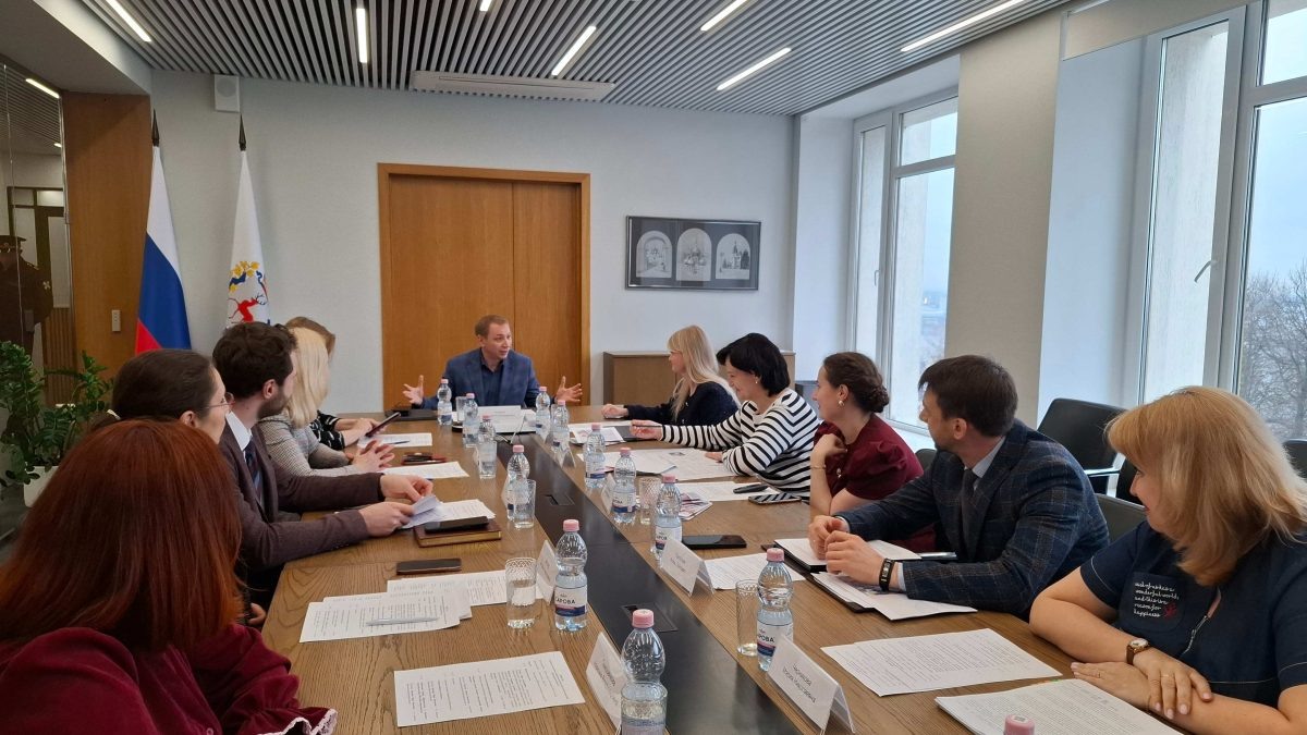    Решения по 14 жизненным ситуациям приняли в Нижегородской области в рамках Национальной социальной инициативы за четыре года