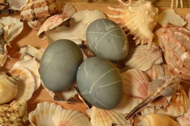    Как покрасить яйца в синий в домашних условиях без красителей?