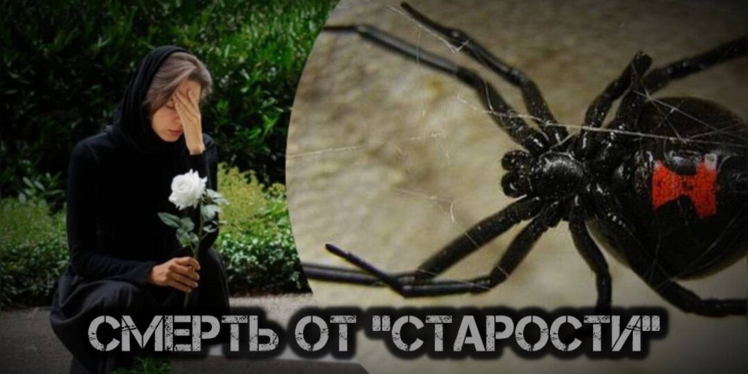 Все мужья умерли вскоре после заключения брака...