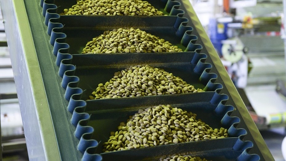    Автор фото: Вдовин Сергей / "ДП"