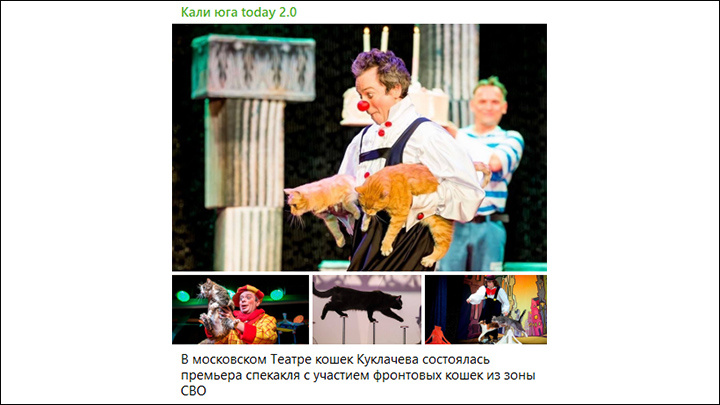    Хвостатые артистки уже успели выступить и получить овации. Фото: ТГ-канал kaliyuogatoday