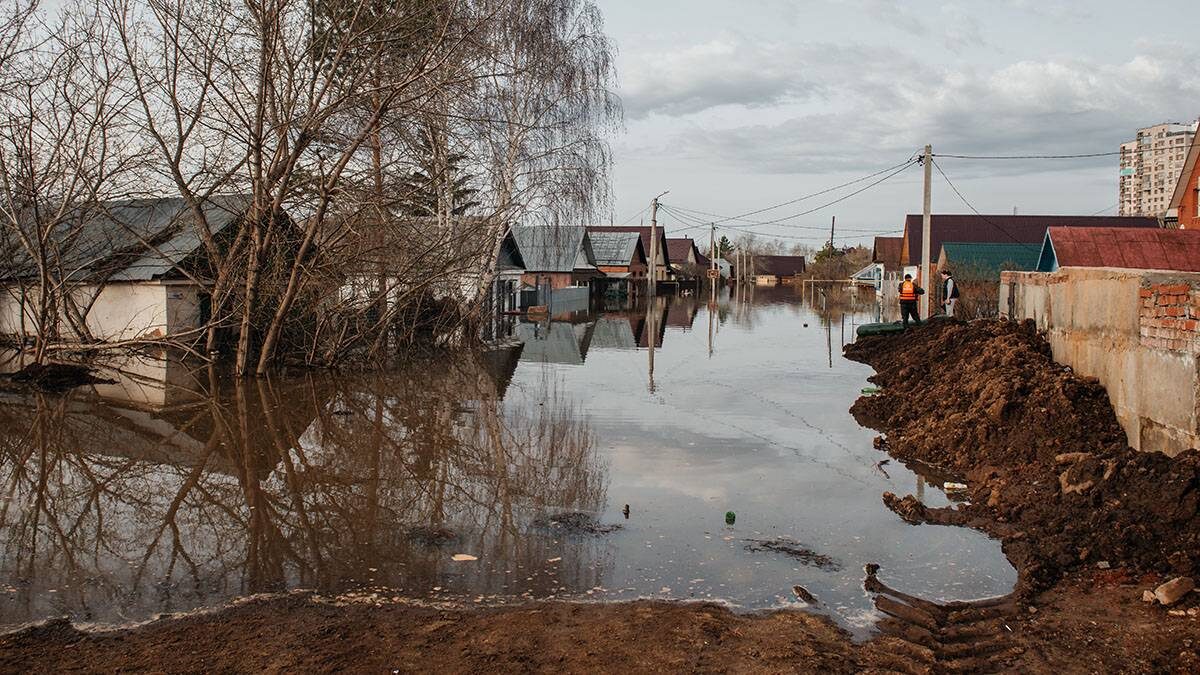    Фото: Shutterstock