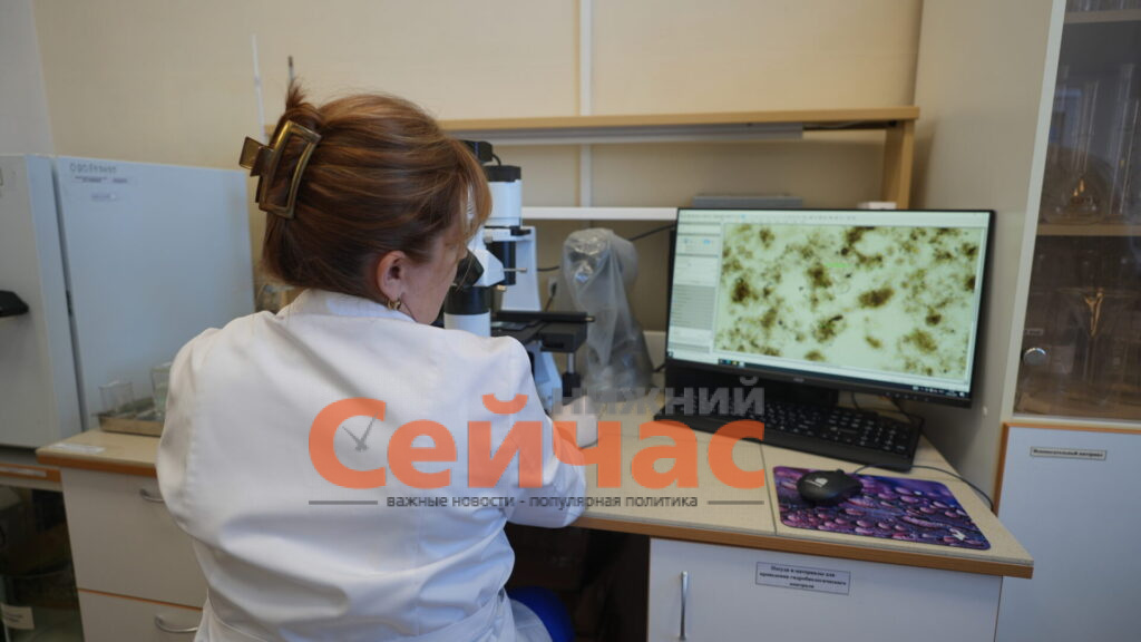    Фото: АО "ОКО" Иван Воробьев