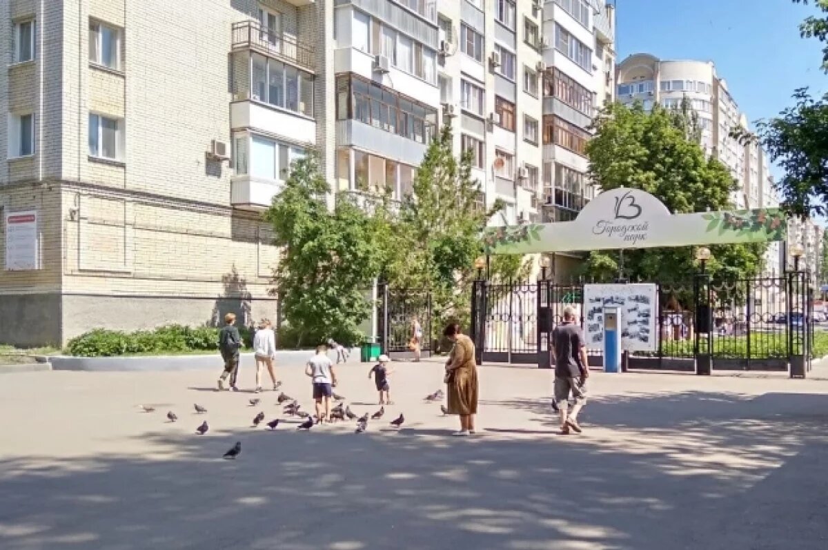    Саратовцам сообщили о благоустройстве горпарка