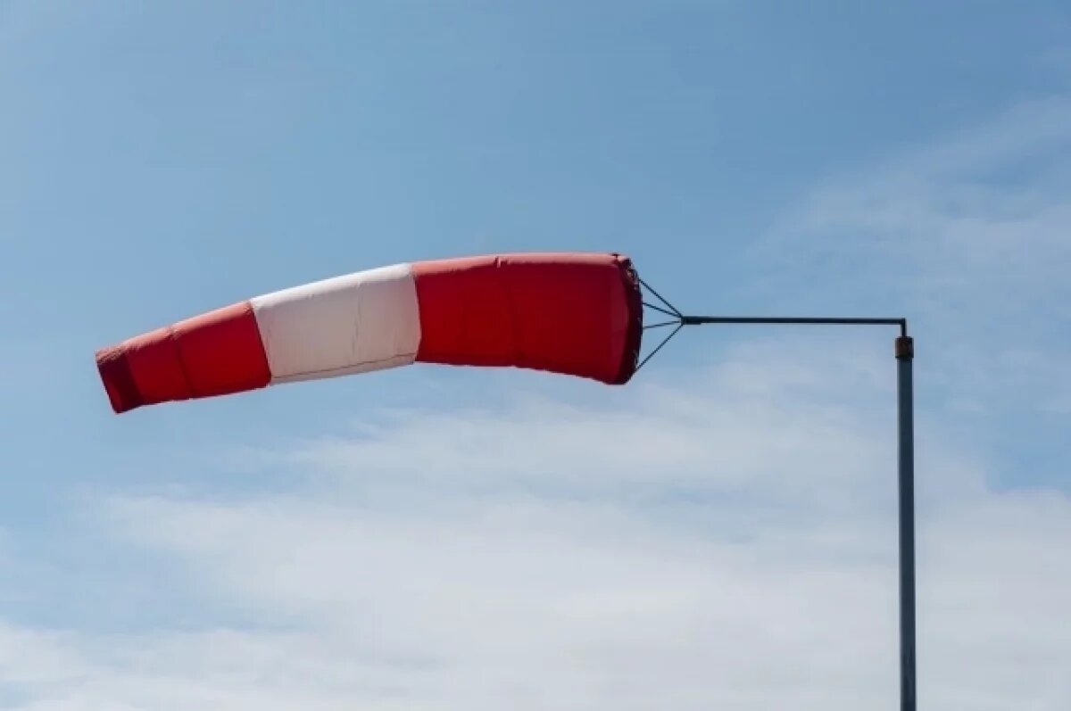    В Петербурге ветер усилится до 18 метров в секунду