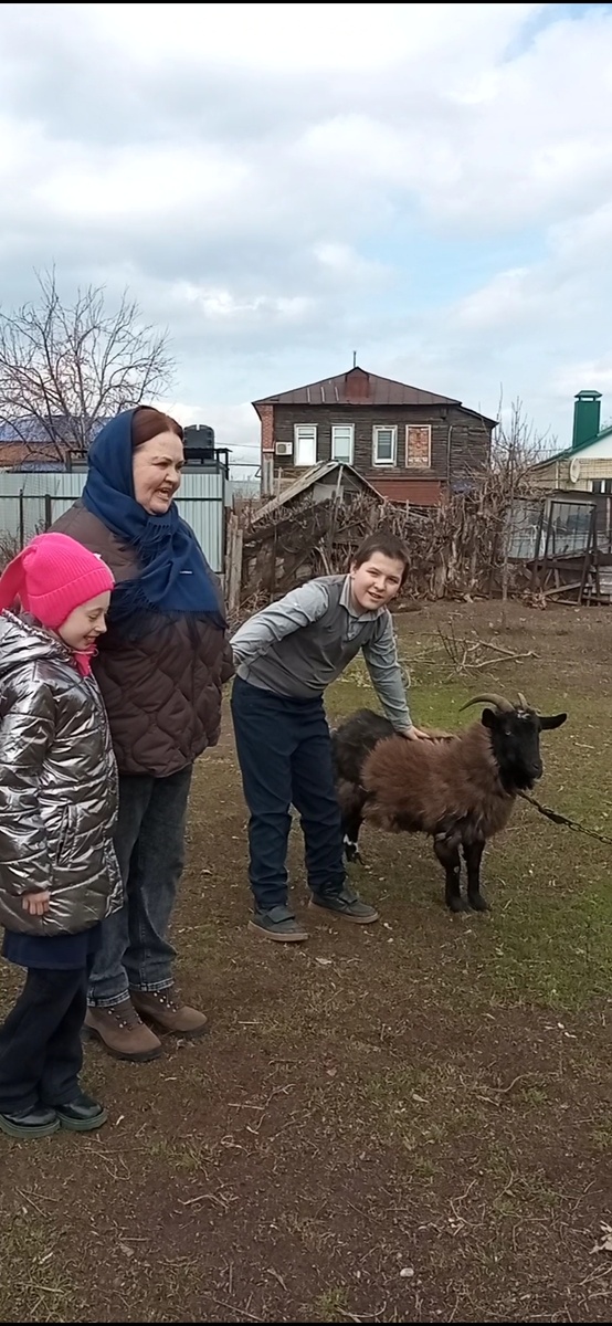 Школьная коза