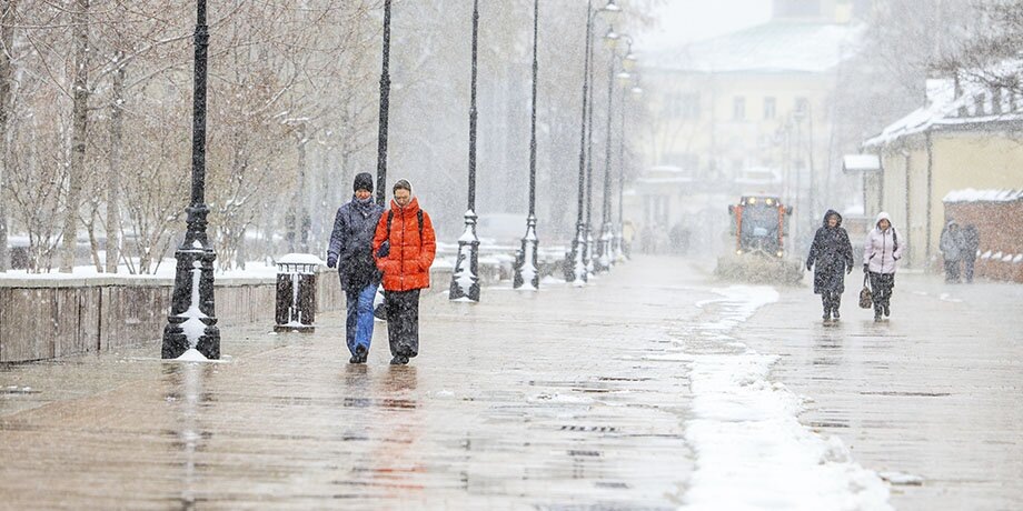    Фото: Москва 24/Лидия Широнина