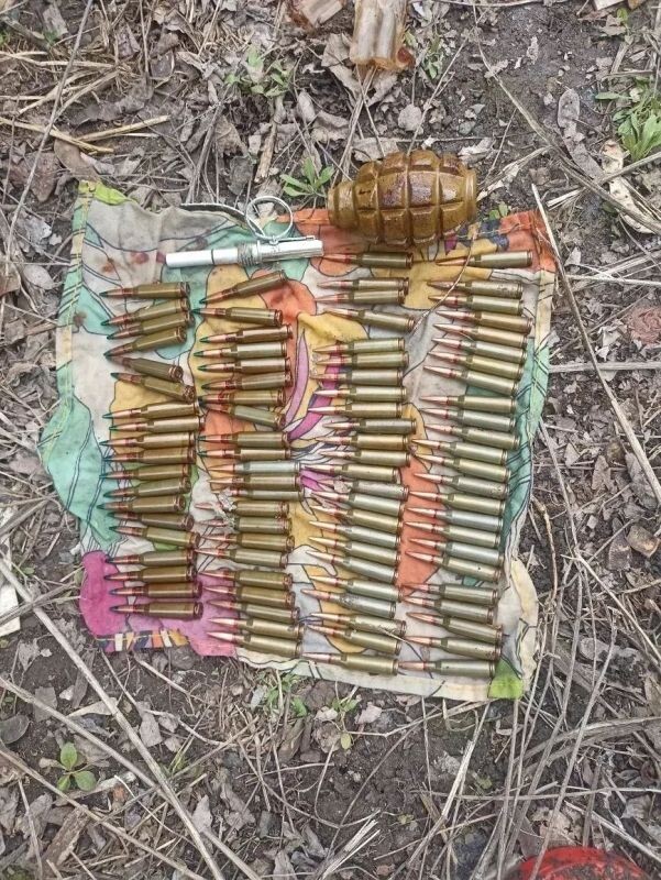    Фото: УМВД по Воронежской области