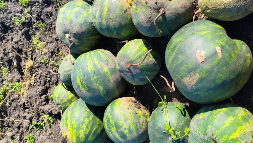    Фото: ПроГород