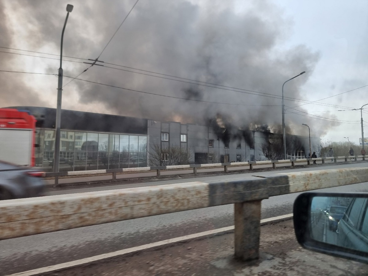 vk.com / Александр Николаев