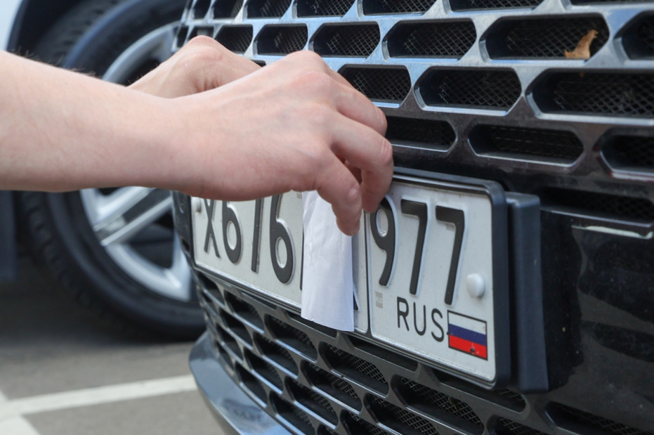    Наталья Шатохина/NEWS.ru