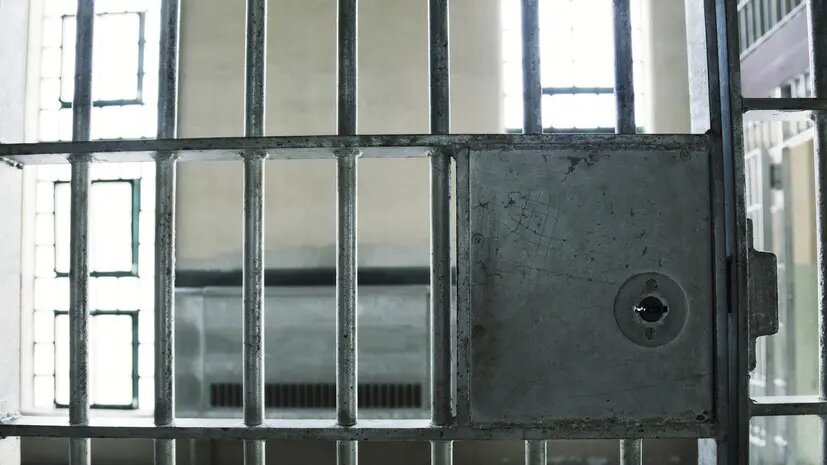    Источник: russian.rt.com Полина Степанова