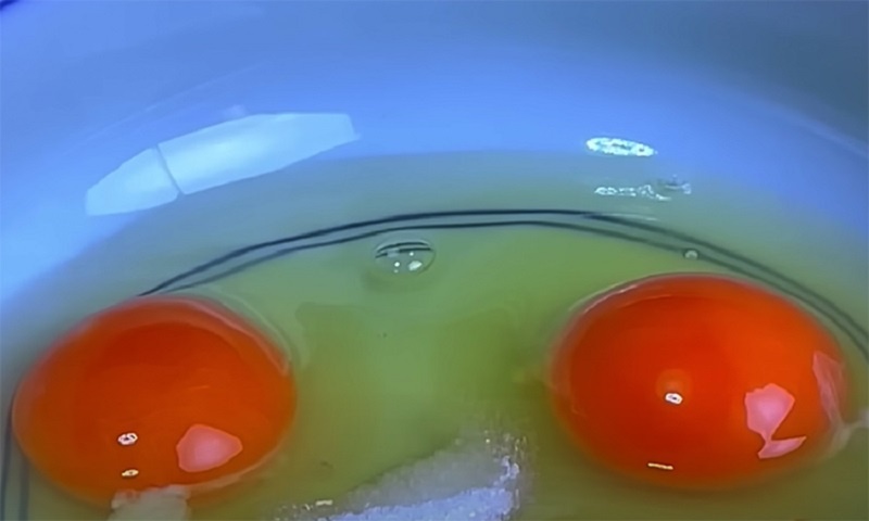 Яйца на пару, мягкие как пудинг: простой восточный рецепт для домашней кухни