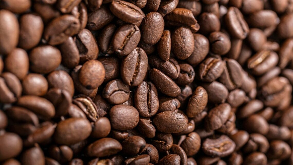    фото: freepik / freepik.com