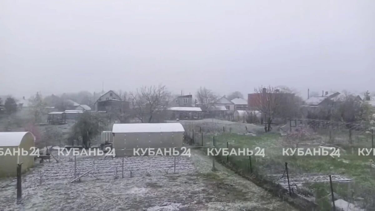    Фото "Кубань 24"