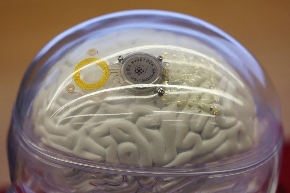    Глава ИРИ считает, что главной мишенью когнитивной войны станут дети REUTERS