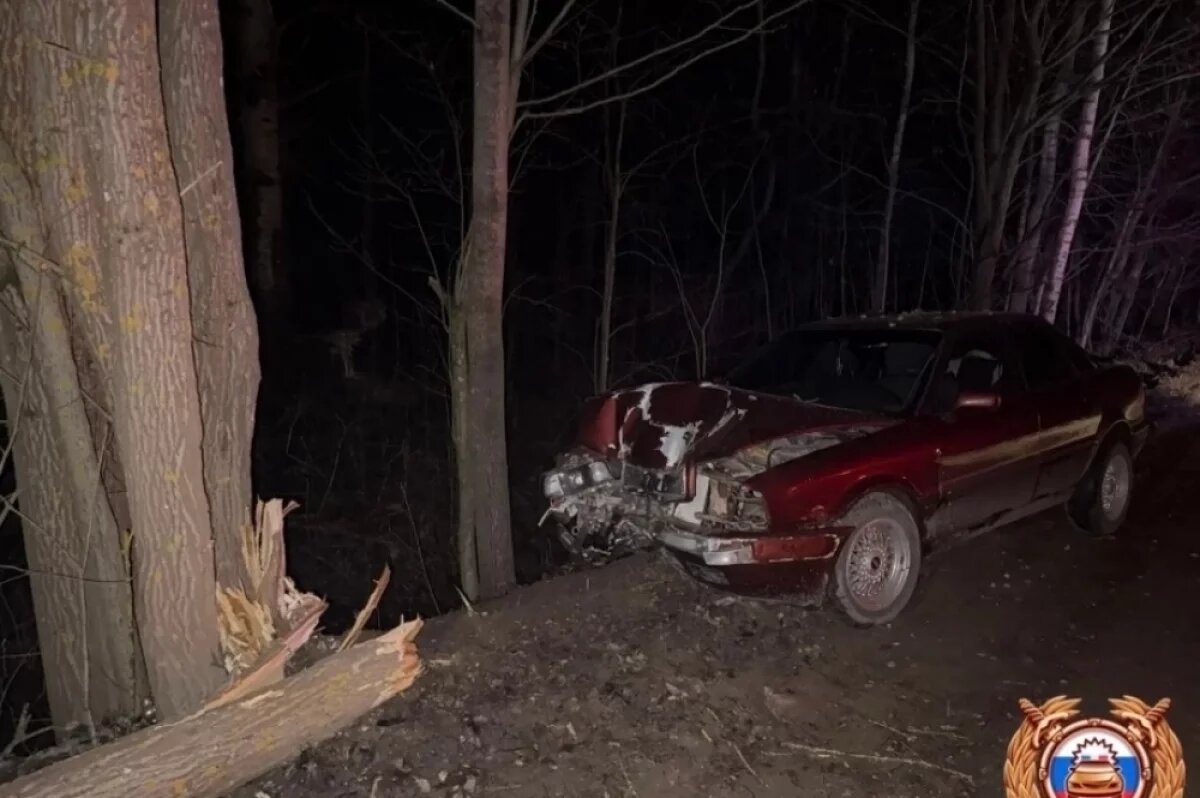    В Тверской области молодой водитель врезался в дерево, пострадали четверо