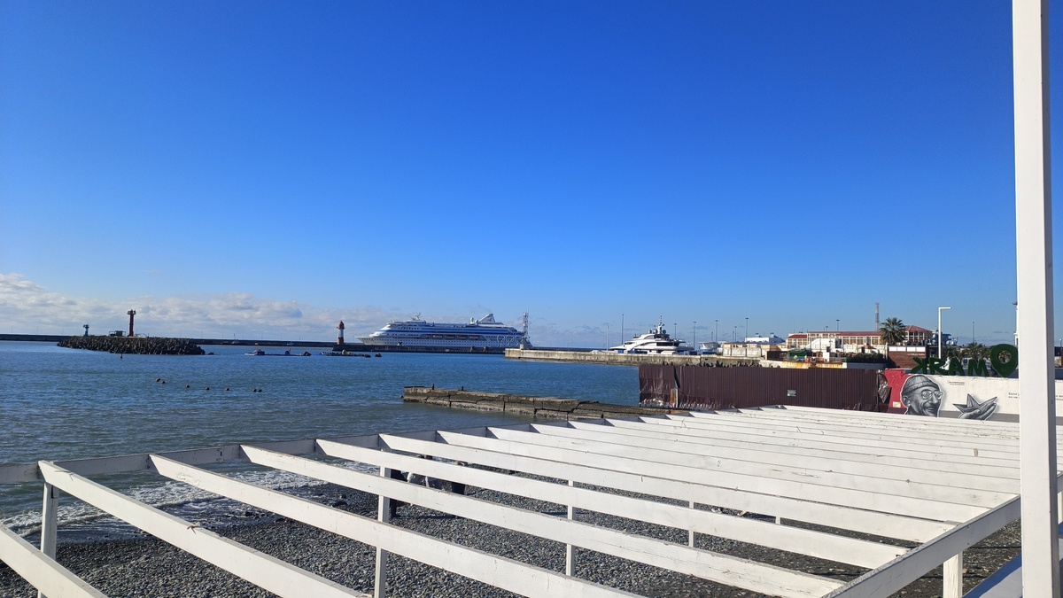 Сочи. Февраль 2025. #фото автора