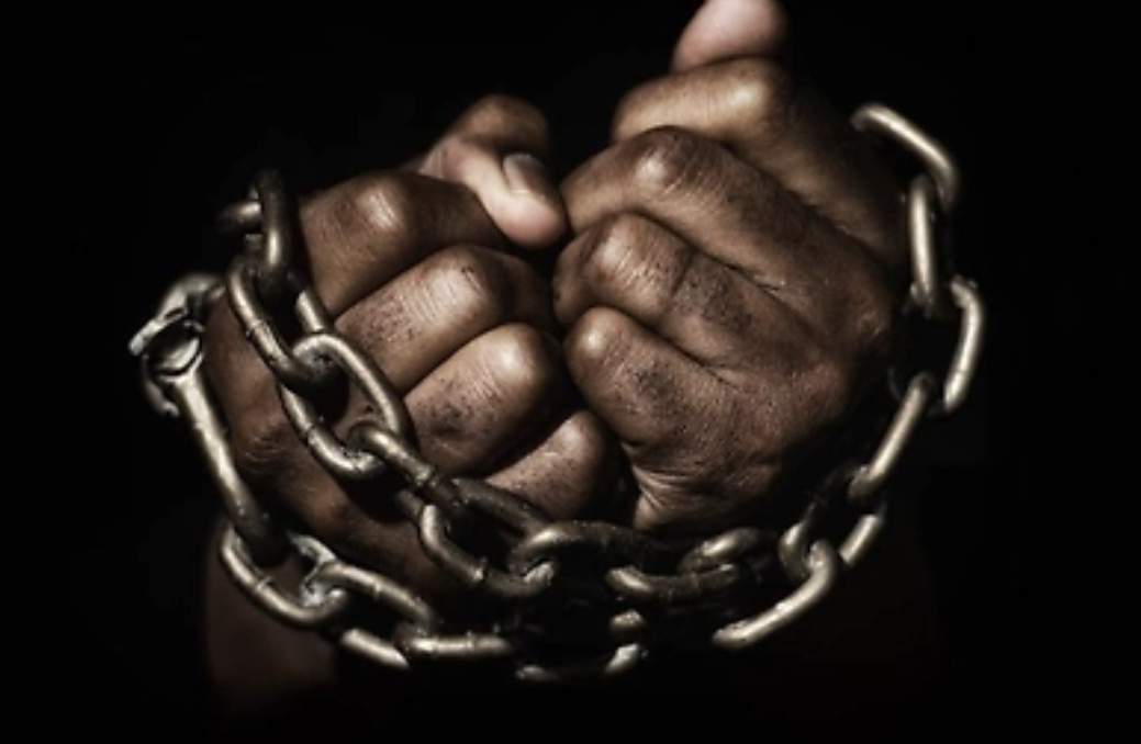 Обложка © Shutterstock / FOTODOM / Valery Sidelnykov