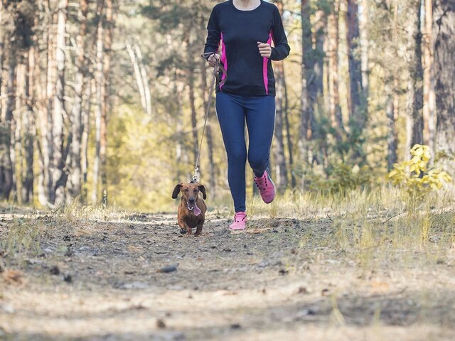    Фото: 123RF.com/titovstudio