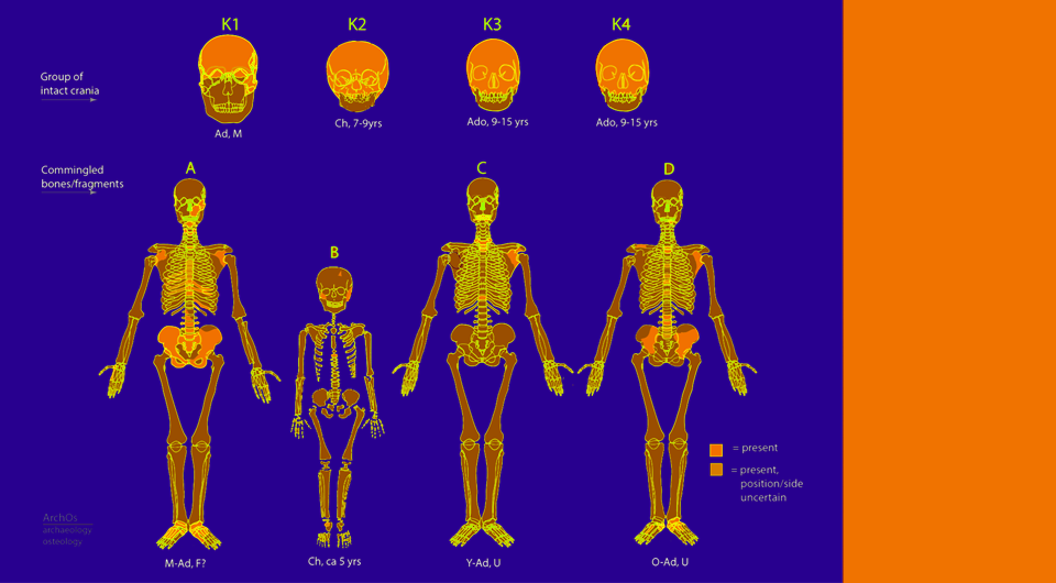   N + 1; Rebecca Kinaston et al. / Nature Communications, 2026