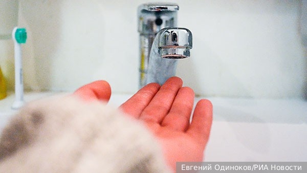     Фото: Евгений Одиноков/РИА Новости