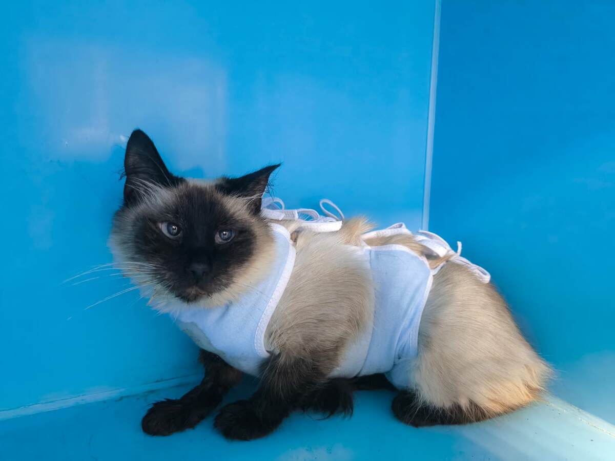 В Зооцентре