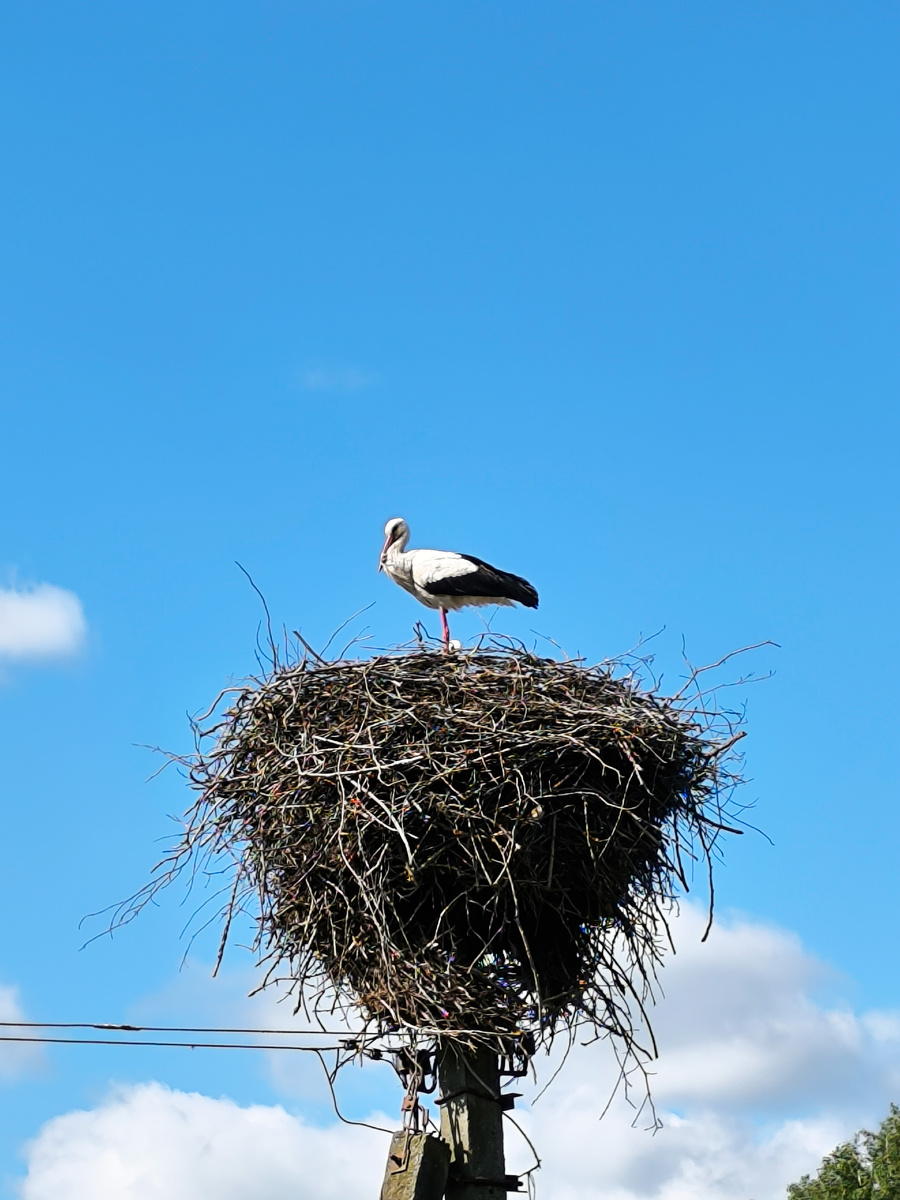 Фотографии с велотура.