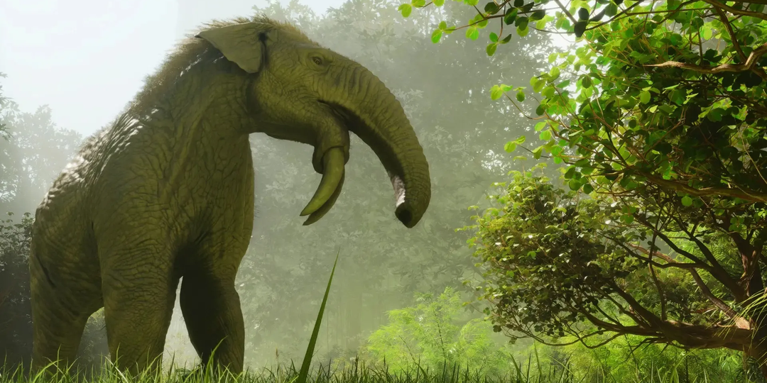 5 интересных вымерших слонов: От титана в 14 тонн до пуськи в 6 кило