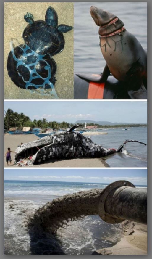 Фото из интернета. Яндекс картинки